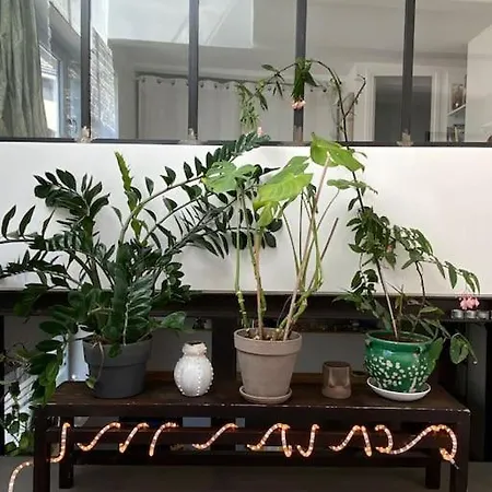 Loft & Terasse 아파트